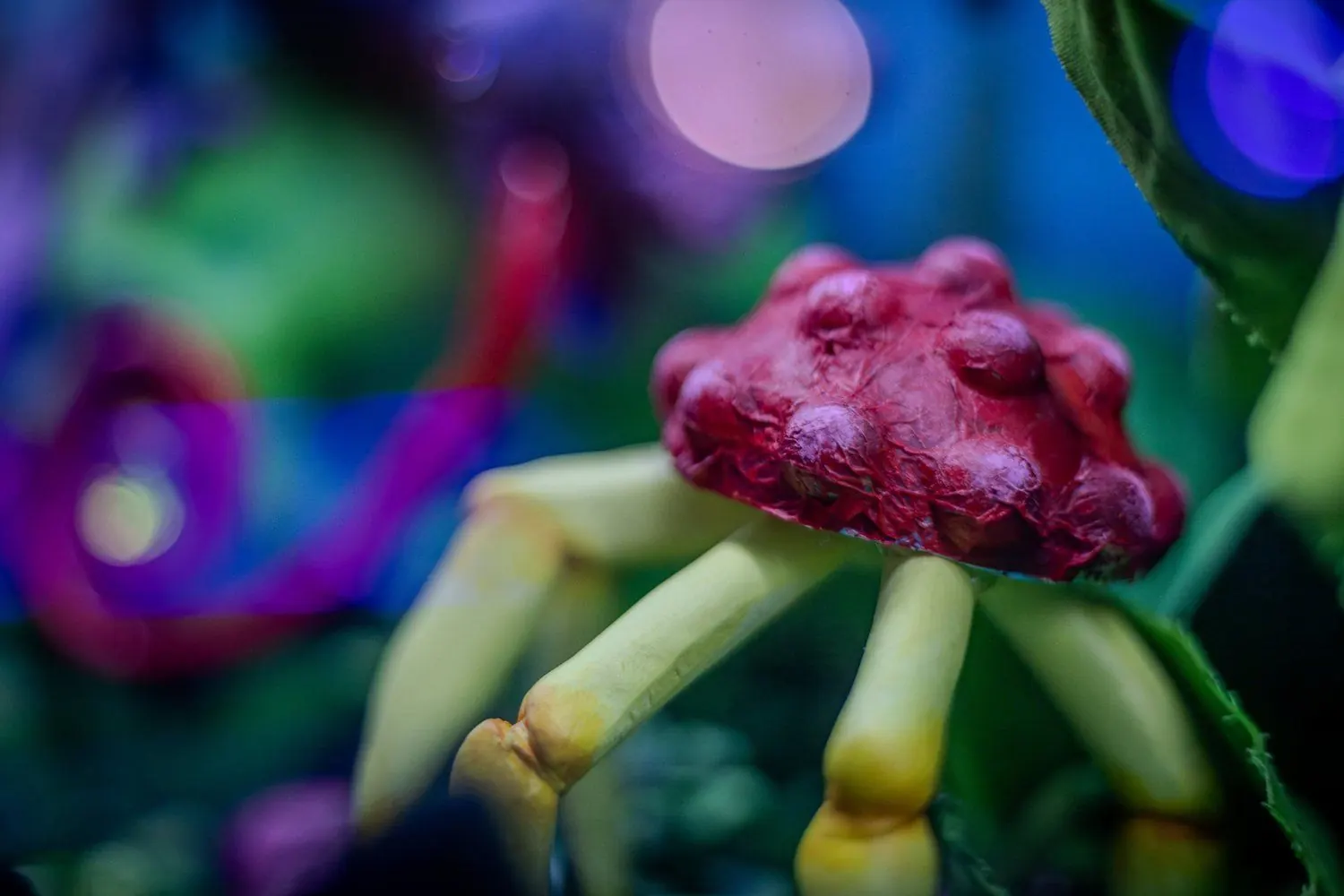 It’s a Flora eat Fauna Otherworld at Endless Bummer, photo 2