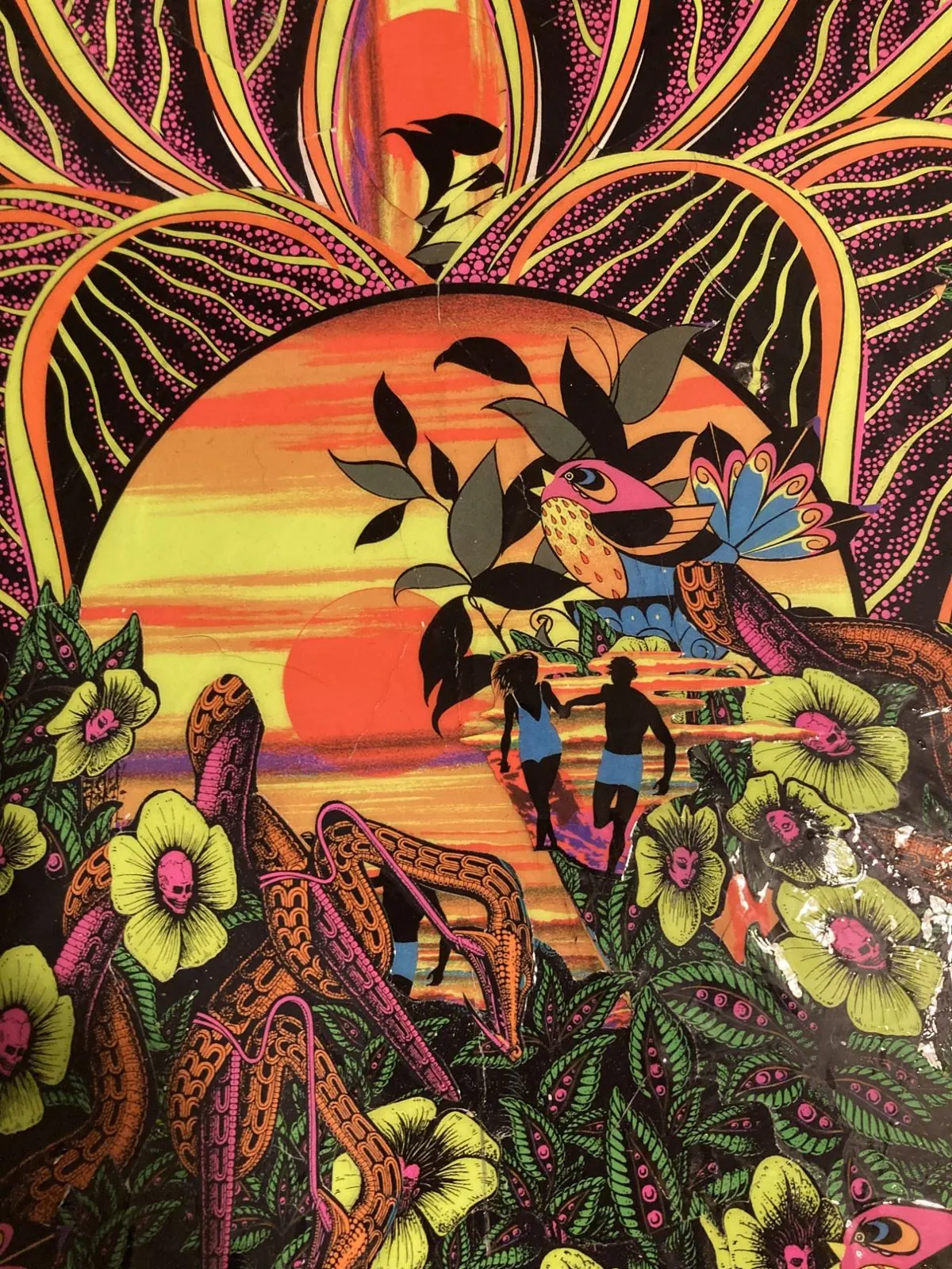 (Serotonin Sunrise) at Endless Bummer, photo 3